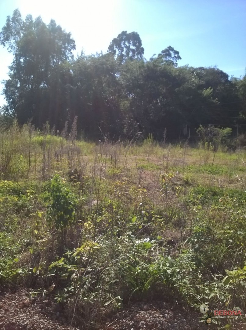 Comprar Terreno Comprar Terreno